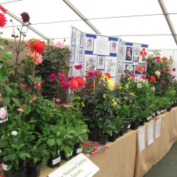 Miscellaneous (NDS Bureaux and Publications)